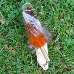 feather brooch on driftwood